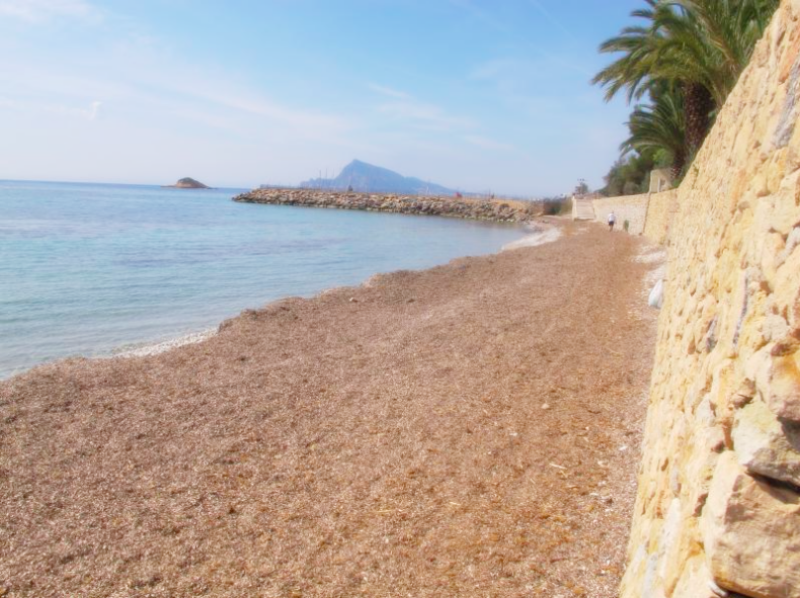 Property For Sale Cap Negret Altea Property For Sale Cap Negret Altea