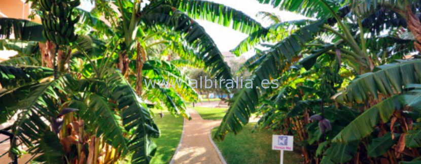 Apartment for sale in edif. Alborada Golf in the center of Albir