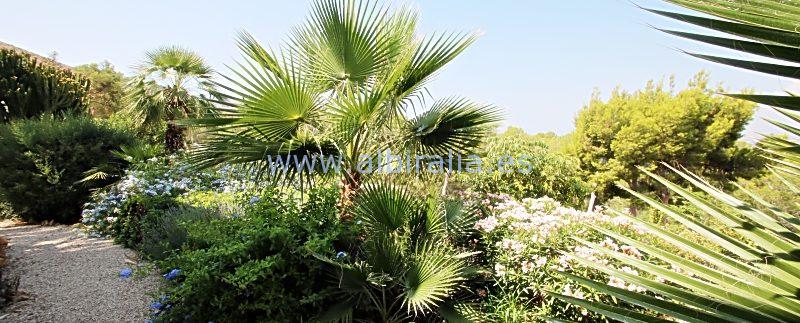 modern villa rent sea view swimming pool wifi