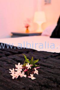 Albiralia property for rent Albir
