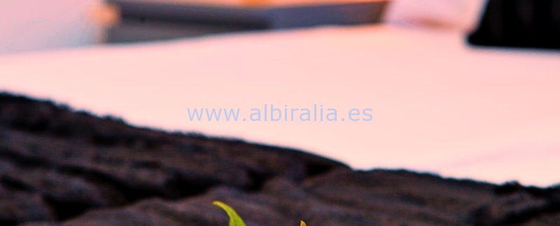 Albiralia leilighet til langtidsleie i Albir Altea 5