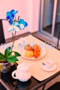 villa for long term rent Albir