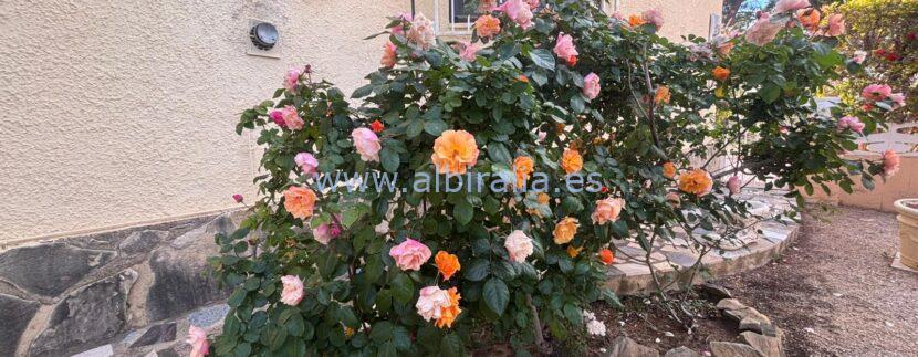 Albiralia property services offers properties close to norwegian school