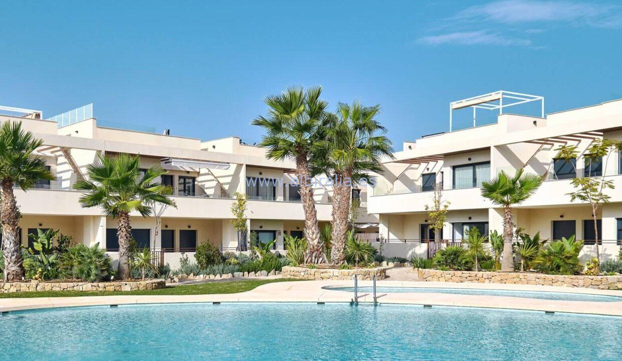 new-build-apartments-communal-pool-palm-trees-costa-blanca